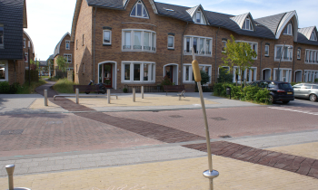 Veenpad Voorschoten 3130.JPG