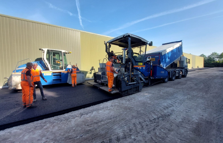Triflor 3.jpg